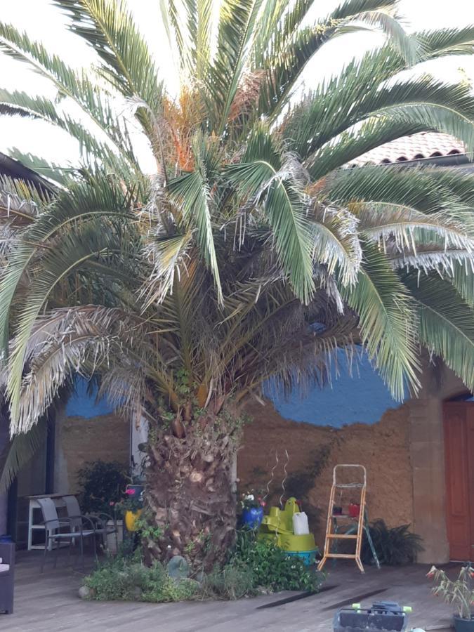 Chambre Familiale Avec Piscine Chauffee Et Jacuzzi Bernadets-Debat Exterior foto